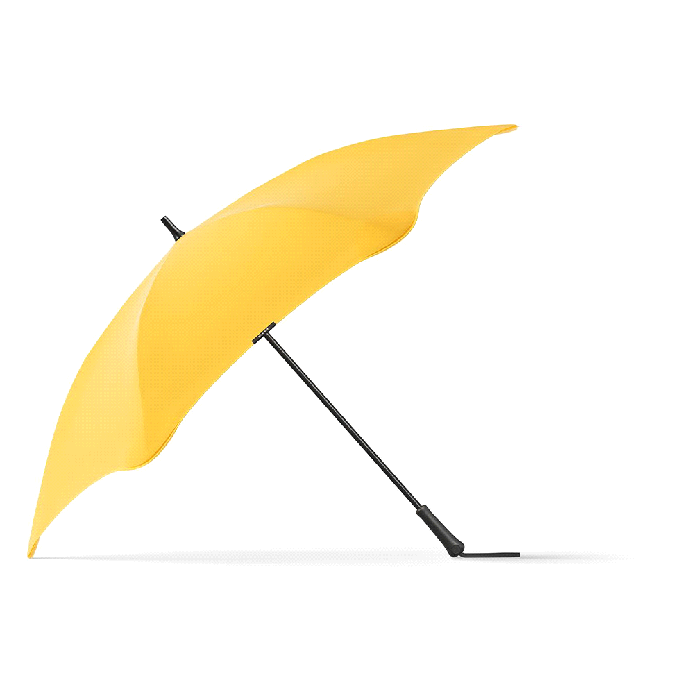 AWS Blunt Exec Umbrella